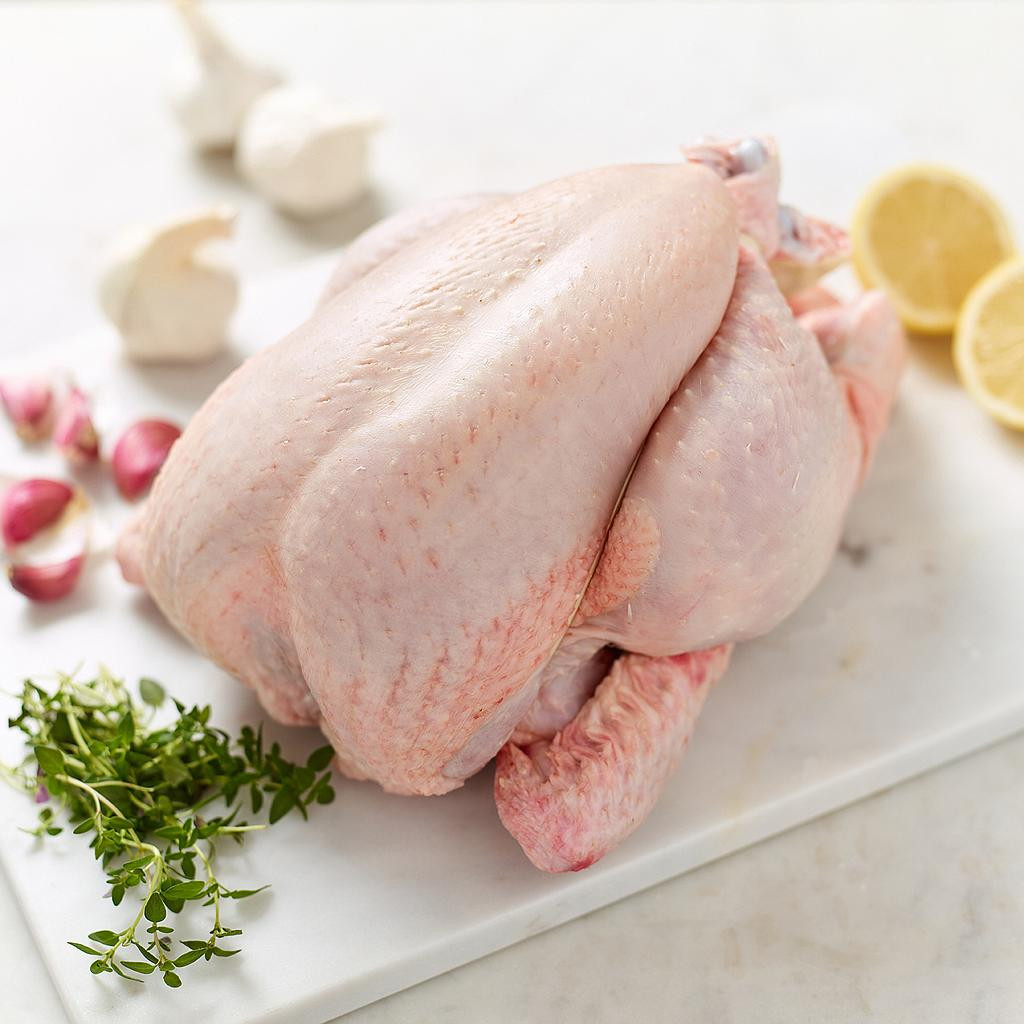 SahaChicken